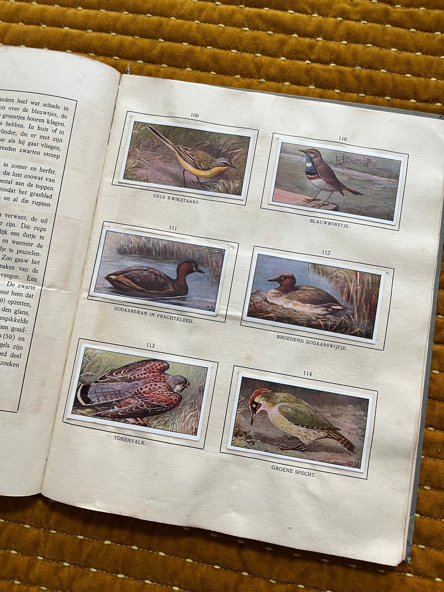 Das Bonte Wei Verkade-Bilderalbum 1911