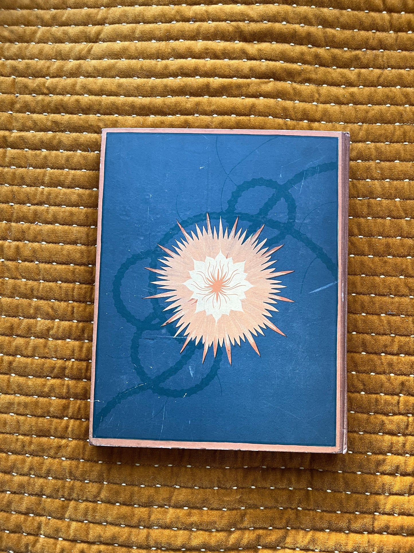 Cactus-Album Plaatjesalbum