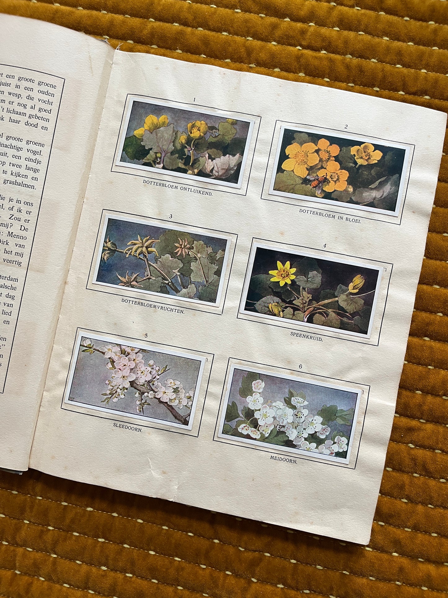 Das Bonte Wei Verkade-Bilderalbum 1911