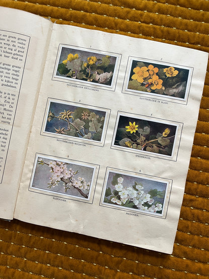 Das Bonte Wei Verkade-Bilderalbum 1911