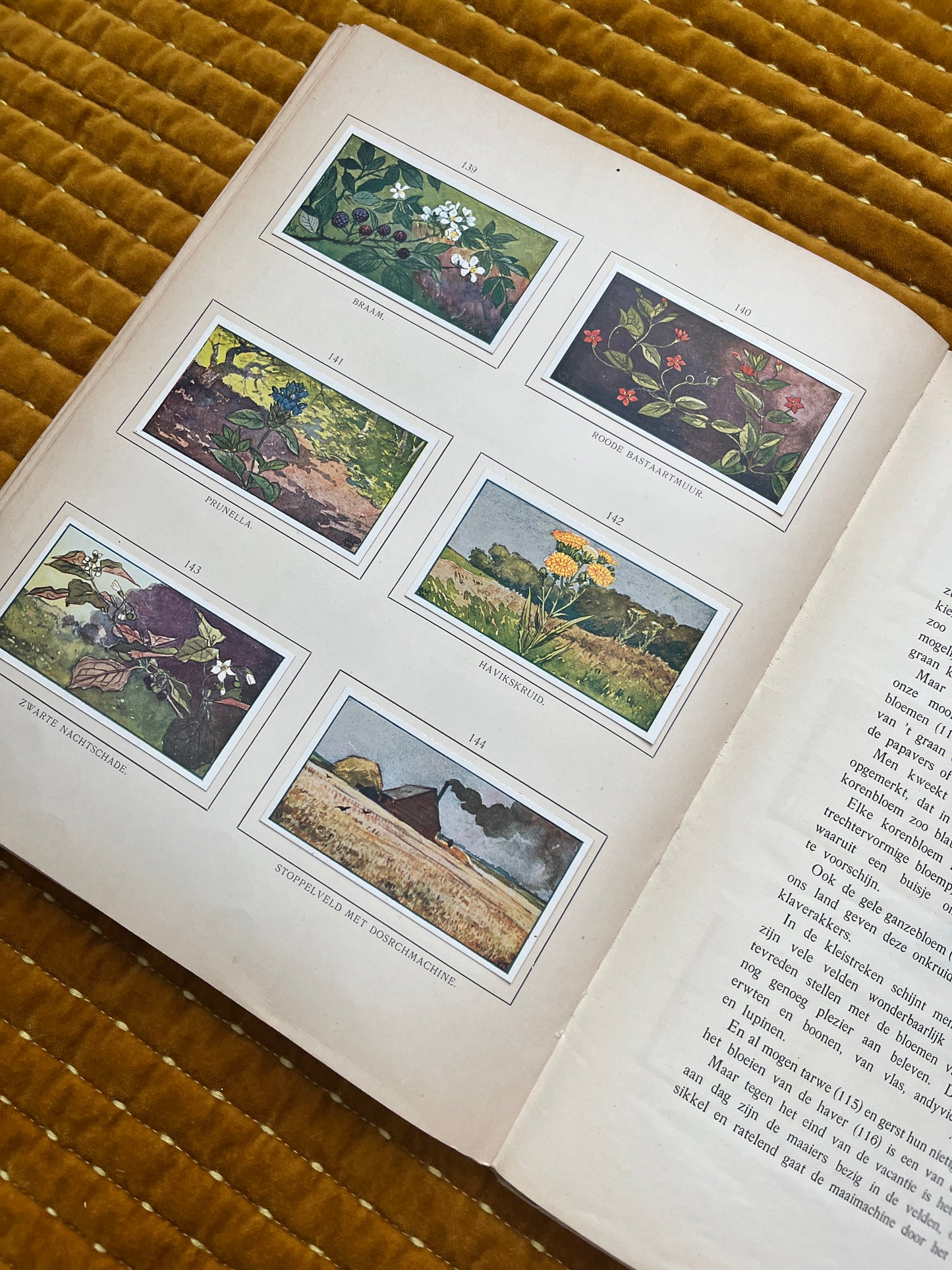 Zomer Verkade Plaatjesalbum 1907 (derde druk)