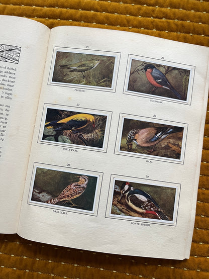 Bosch en Heide Verkade Plaatjesalbum 1913