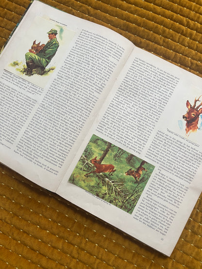 So lebt die Hoge Veluwe – Fotoalbum 1960