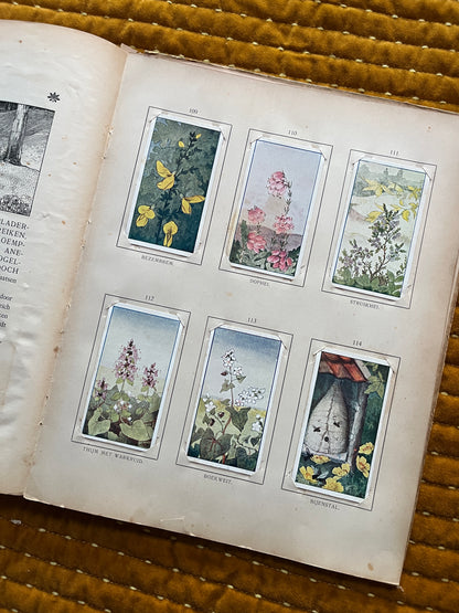 Zomer Verkade Plaatjesalbum 1907