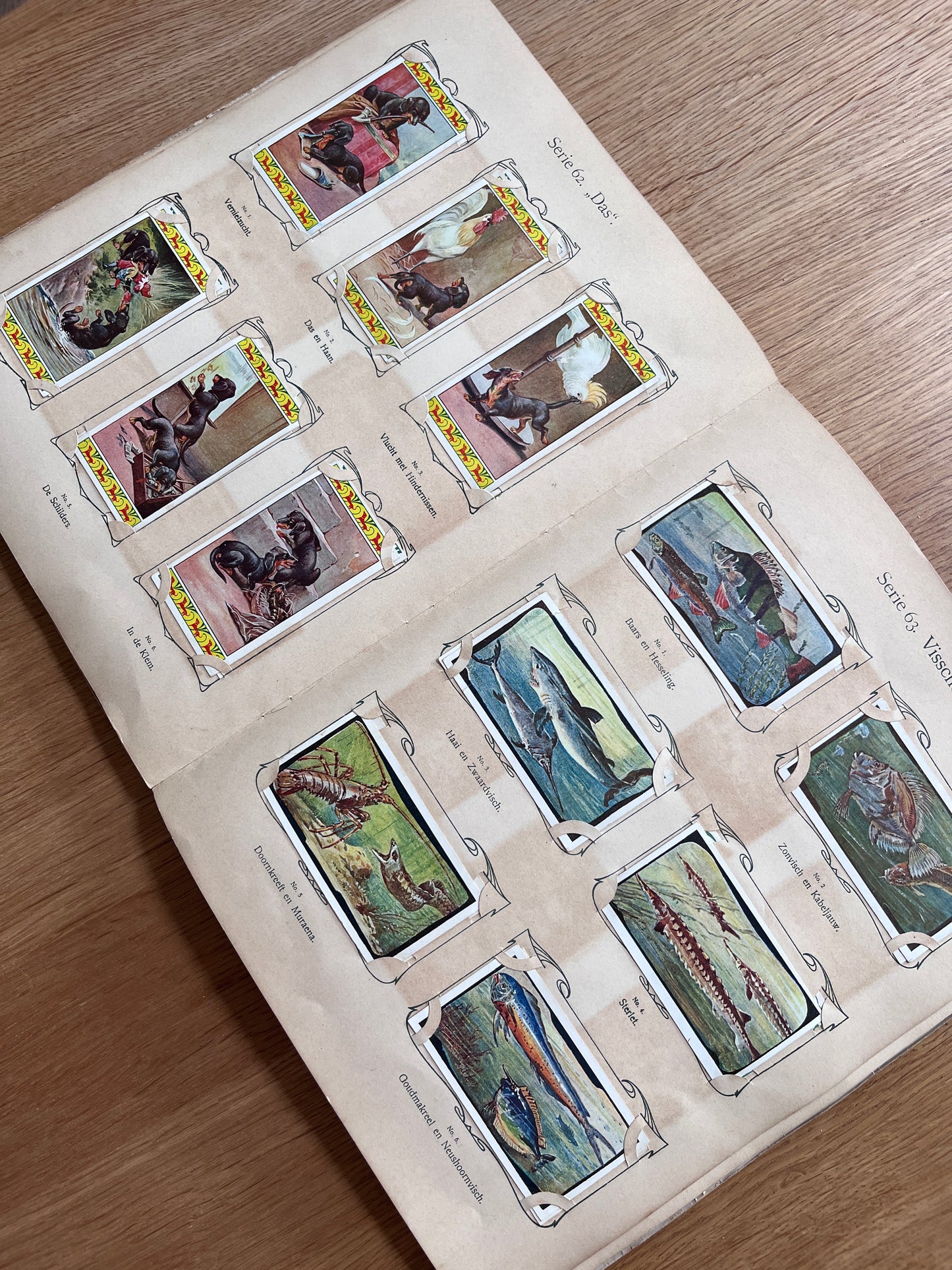 Verkade Plaatjesalbum 3 serie 49-72 1905 compleet #5