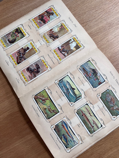 Verkade Plaatjesalbum 3 serie 49-72 1905 compleet #5
