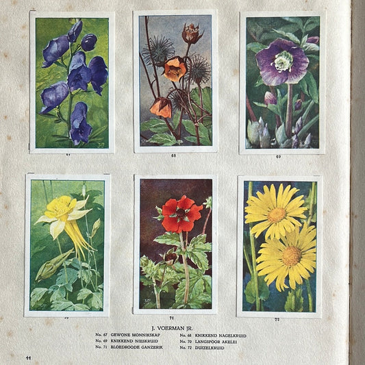 6 Verkade plaatjes De bloemen in onze tuin 1926 (67-72)