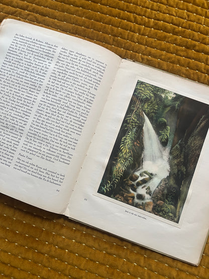 Java. Onze zendingsvelden plaatjesalbum 1940