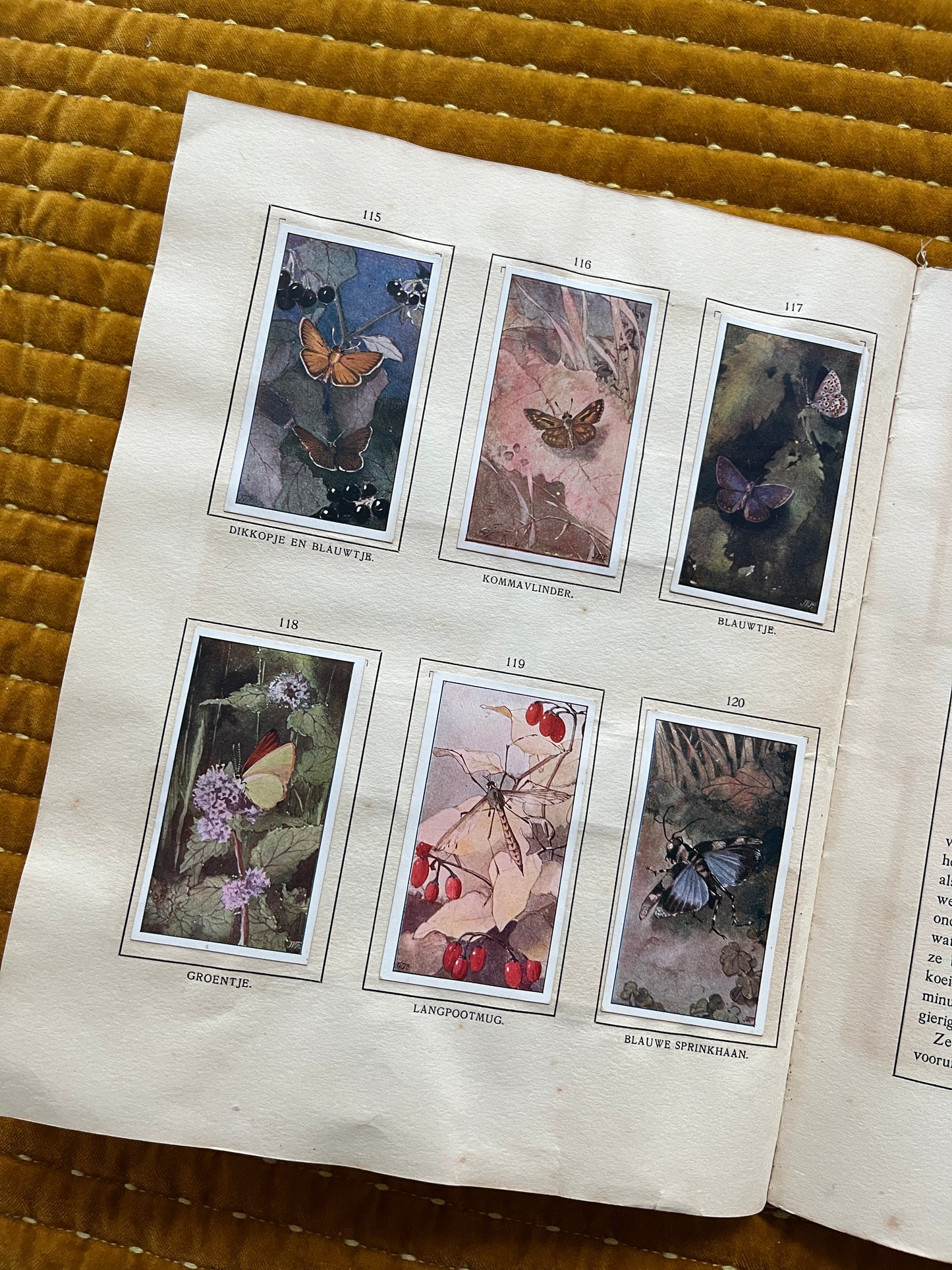 Das Bonte Wei Verkade-Bilderalbum 1911