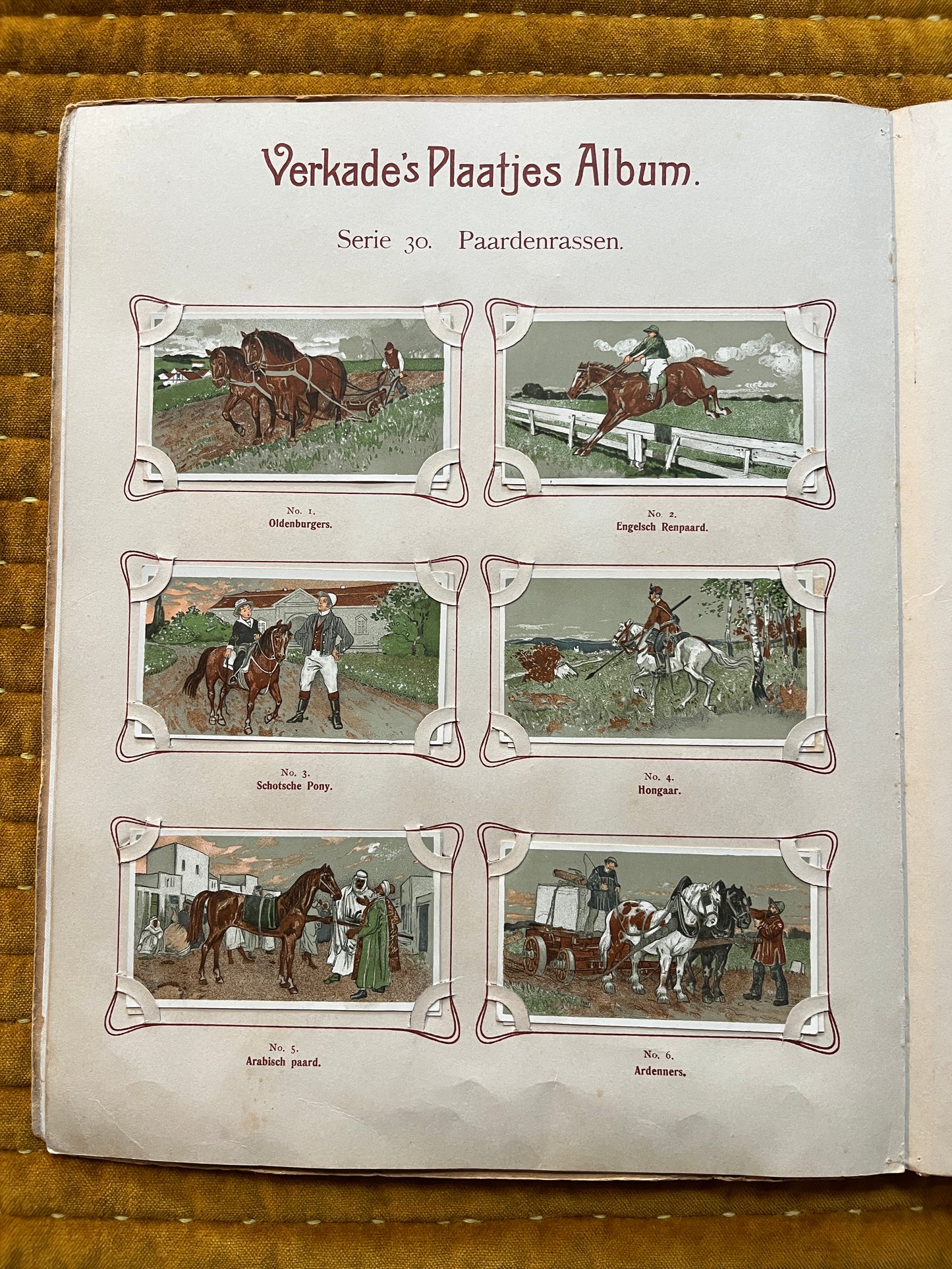Verkade Plaatjesalbum 2 (1904) losse plaatjes Serie 30 Paardenrassen