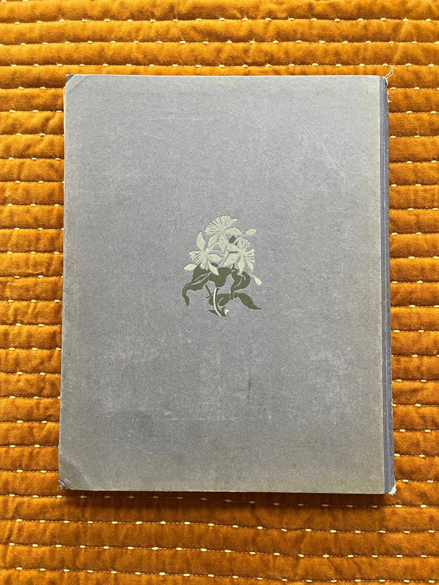 Das Bonte Wei Verkade-Bilderalbum 1911