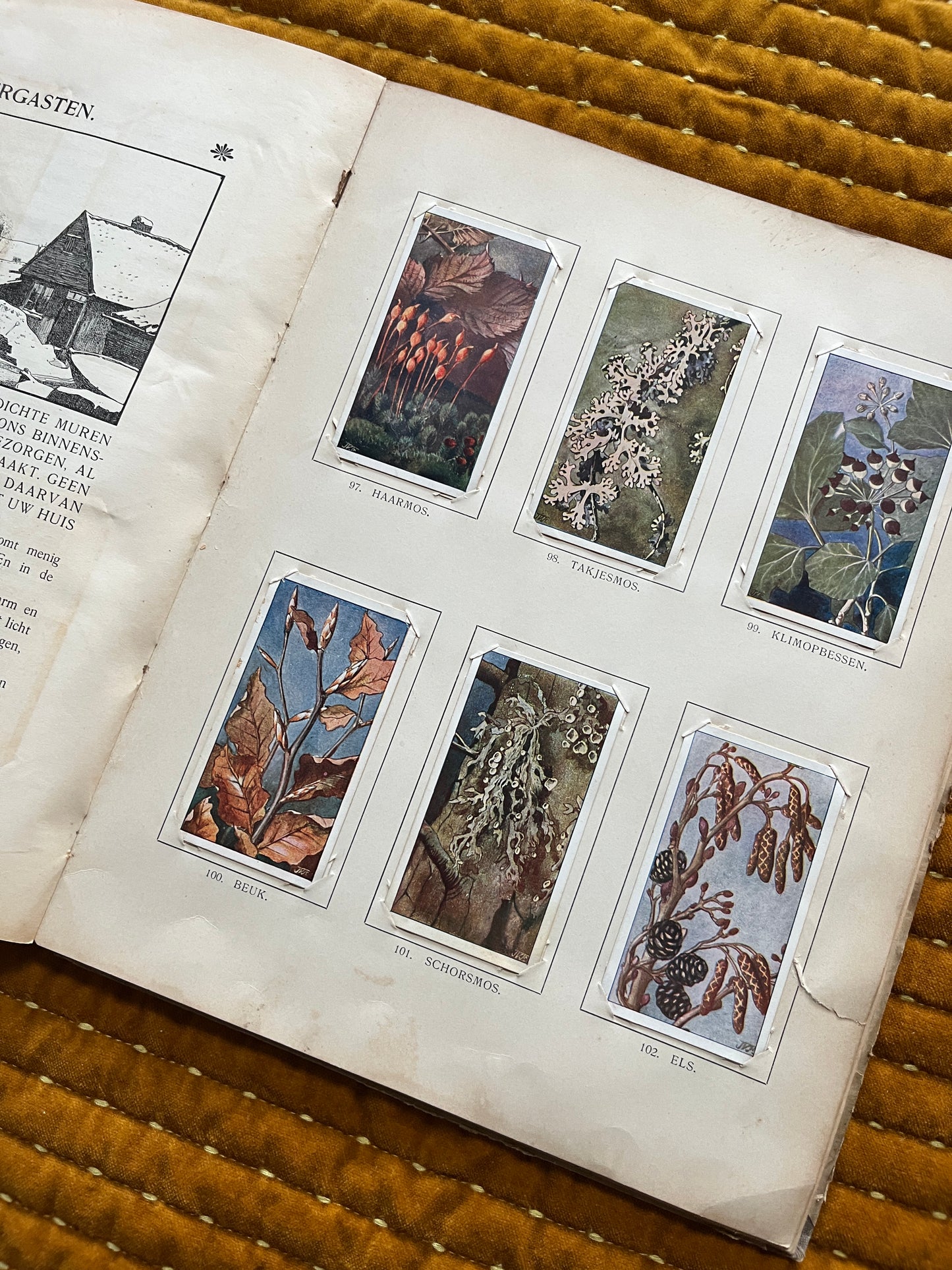 Winter Verkade Plaatjesalbum 1909