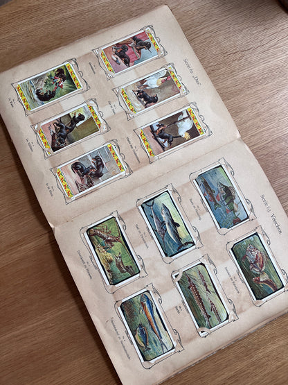 Verkade Plaatjesalbum 3 serie 49-72 1905 compleet #4