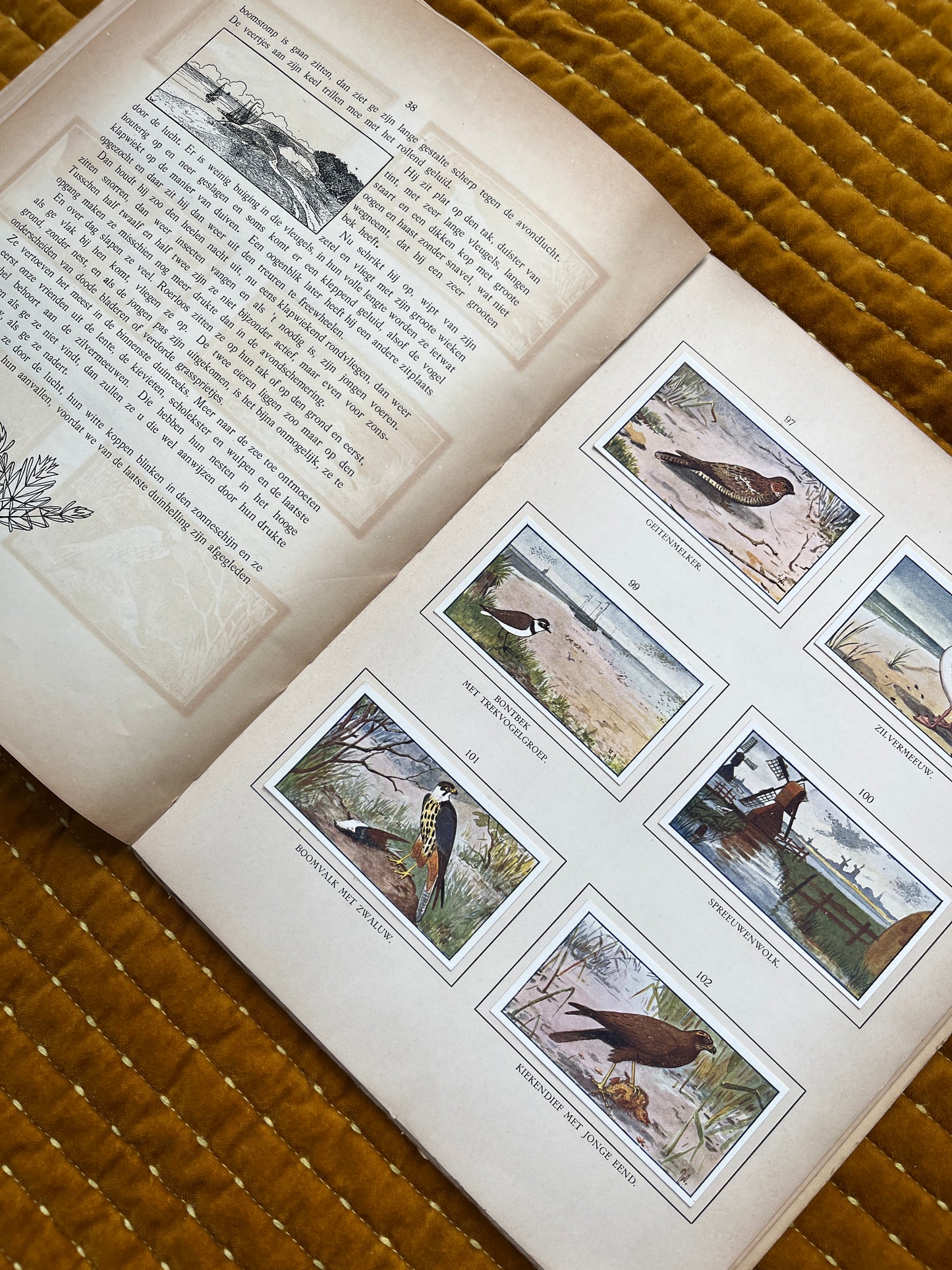 Zomer Verkade Plaatjesalbum 1908 (tweede druk)