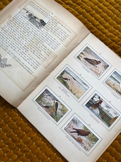 Zomer Verkade Plaatjesalbum 1908 (tweede druk)