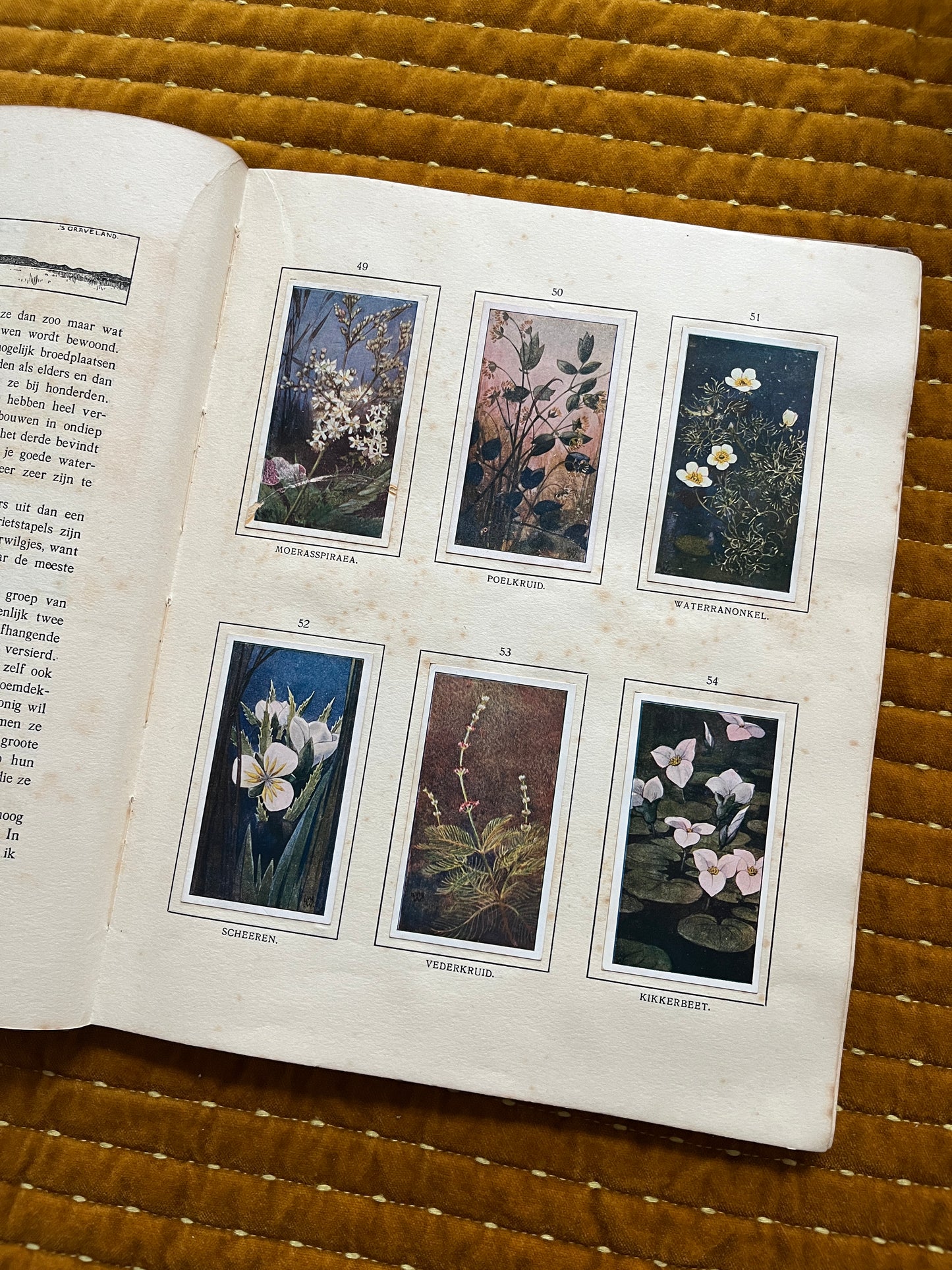 Das Naardermeer Verkade-Bilderalbum 1912