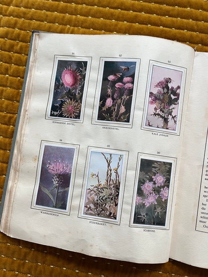 Das Bonte Wei Verkade-Bilderalbum 1911