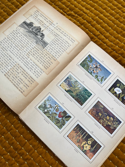 Zomer Verkade Plaatjesalbum 1908 (tweede druk)