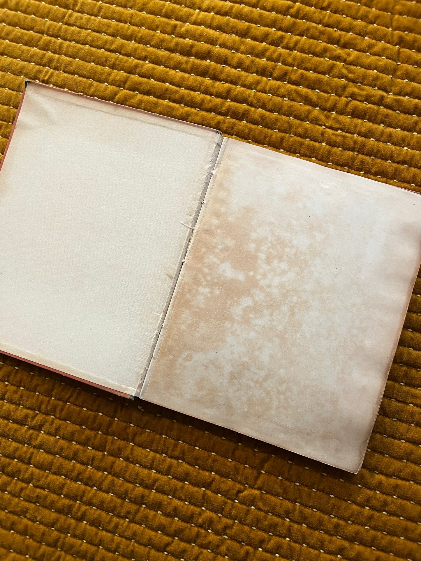 Friesland Verkade Bilderalbum 1918