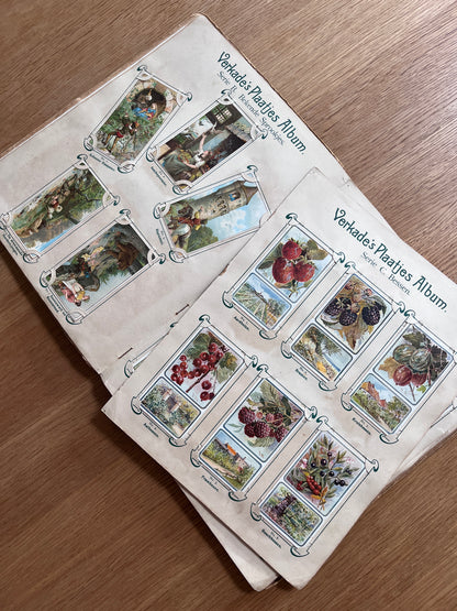 Verkade Plaatjesalbum 1 serie A-X 1903 compleet