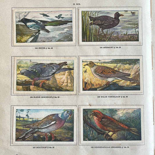 6 Verkade plaatjes Hans de Torenkraai 1935 (103-108)