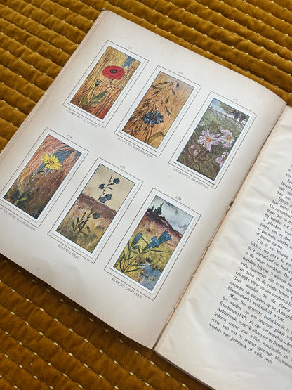 Zomer Verkade Plaatjesalbum 1907 (derde druk)