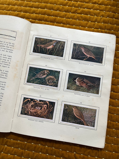 Das Naardermeer Verkade-Bilderalbum 1912