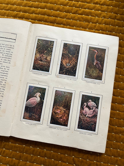 Das Naardermeer Verkade-Bilderalbum 1912