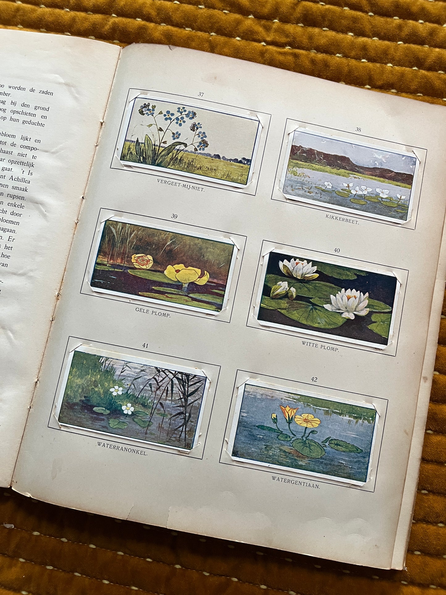 Zomer Verkade Plaatjesalbum 1907