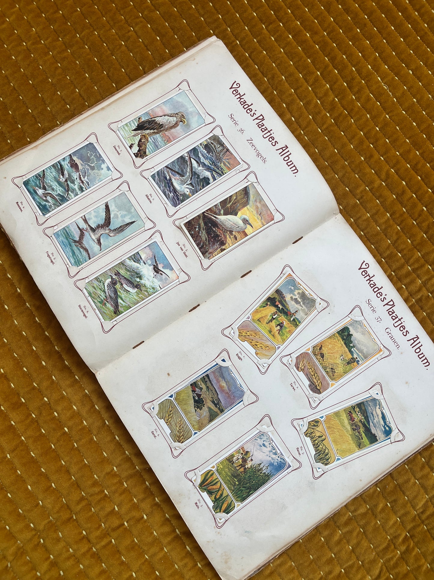 Verkade Plaatjesalbum 2 serie 25-48 1904 compleet