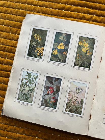 Herfst Verkade Plaatjesalbum 1910