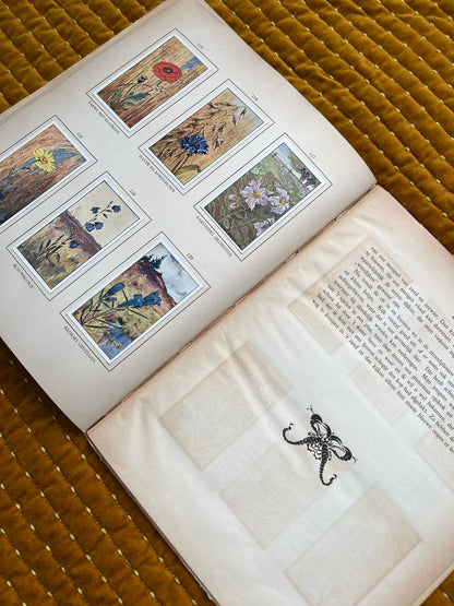 Zomer Verkade Plaatjesalbum 1908 (tweede druk)