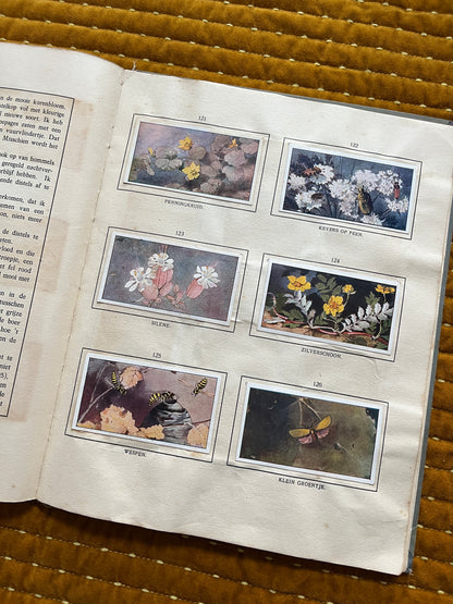 Das Bonte Wei Verkade-Bilderalbum 1911