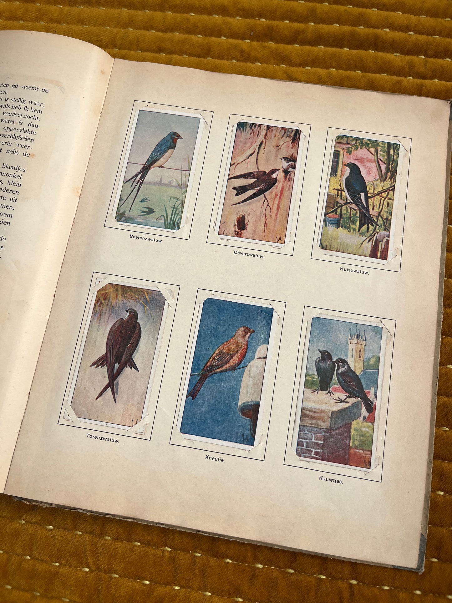 Lente Verkade Plaatjesalbum 1906