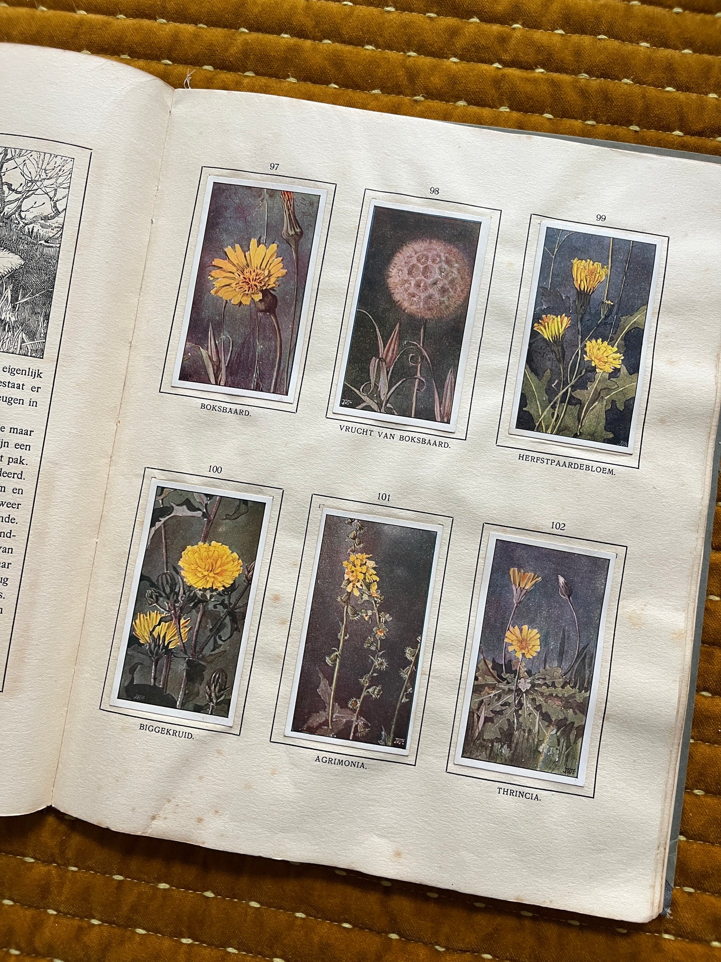 Das Bonte Wei Verkade-Bilderalbum 1911