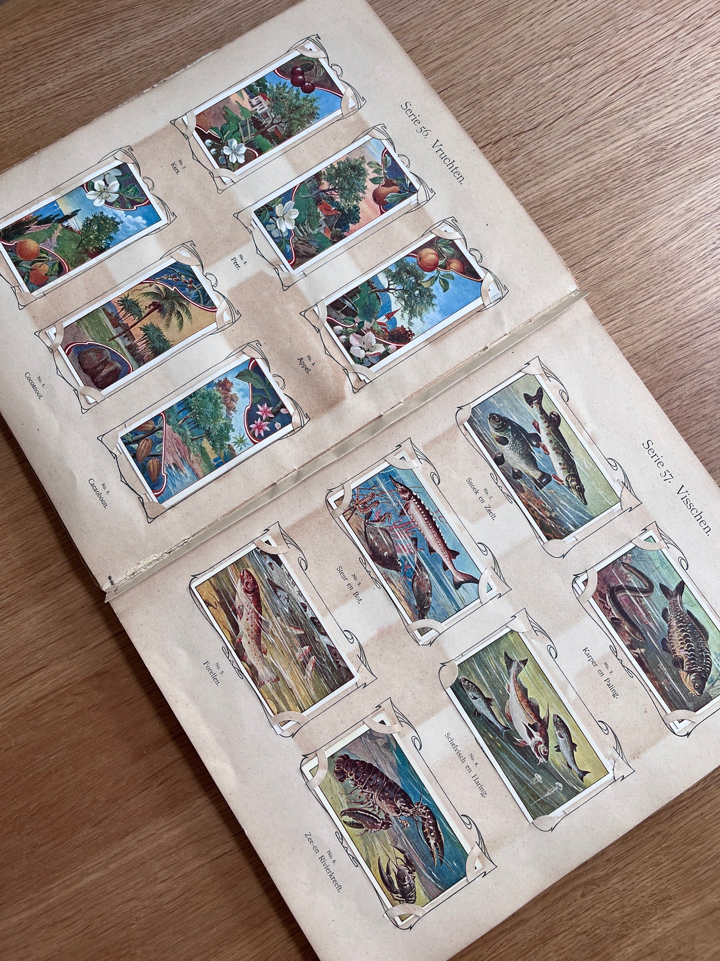 Verkade Plaatjesalbum 3 serie 49-72 1905 compleet #5