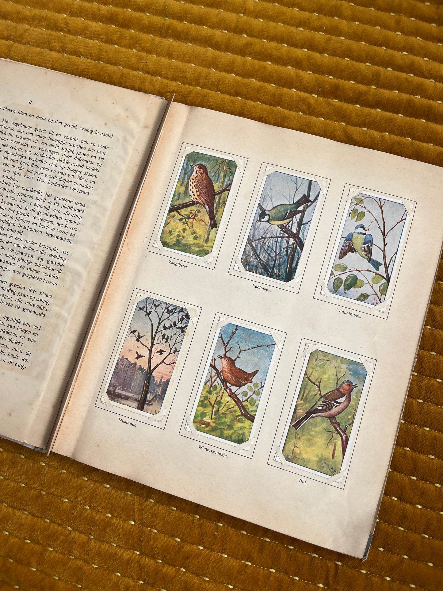 Lente Verkade Plaatjesalbum 1906