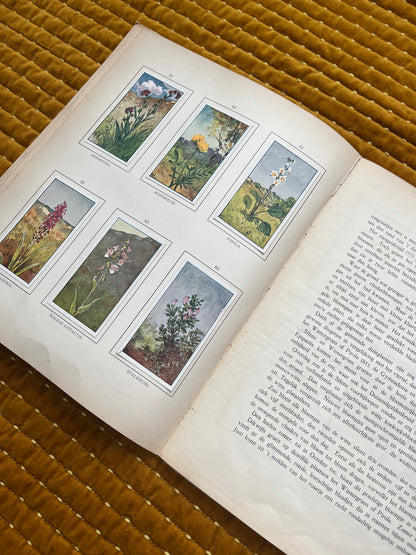 Zomer Verkade Plaatjesalbum 1907 (derde druk)