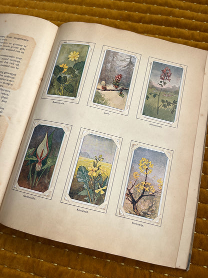 Lente Verkade Plaatjesalbum 1906