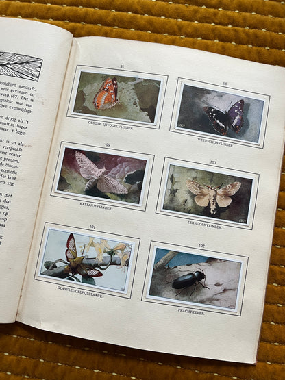 Bosch en Heide Verkade Plaatjesalbum 1913