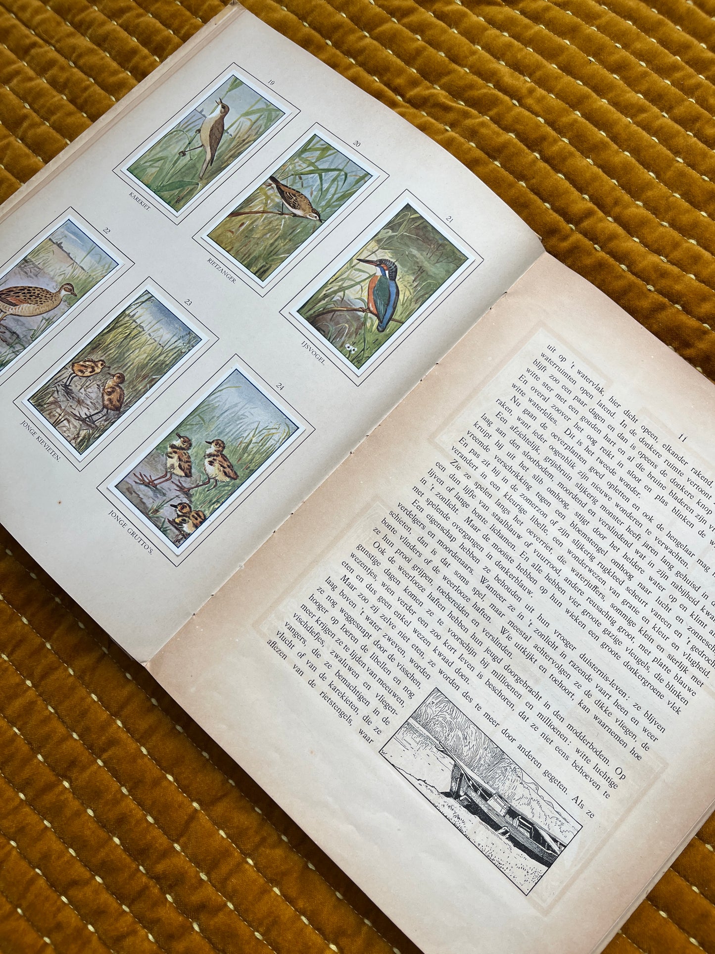 Zomer Verkade Plaatjesalbum 1908 (tweede druk)