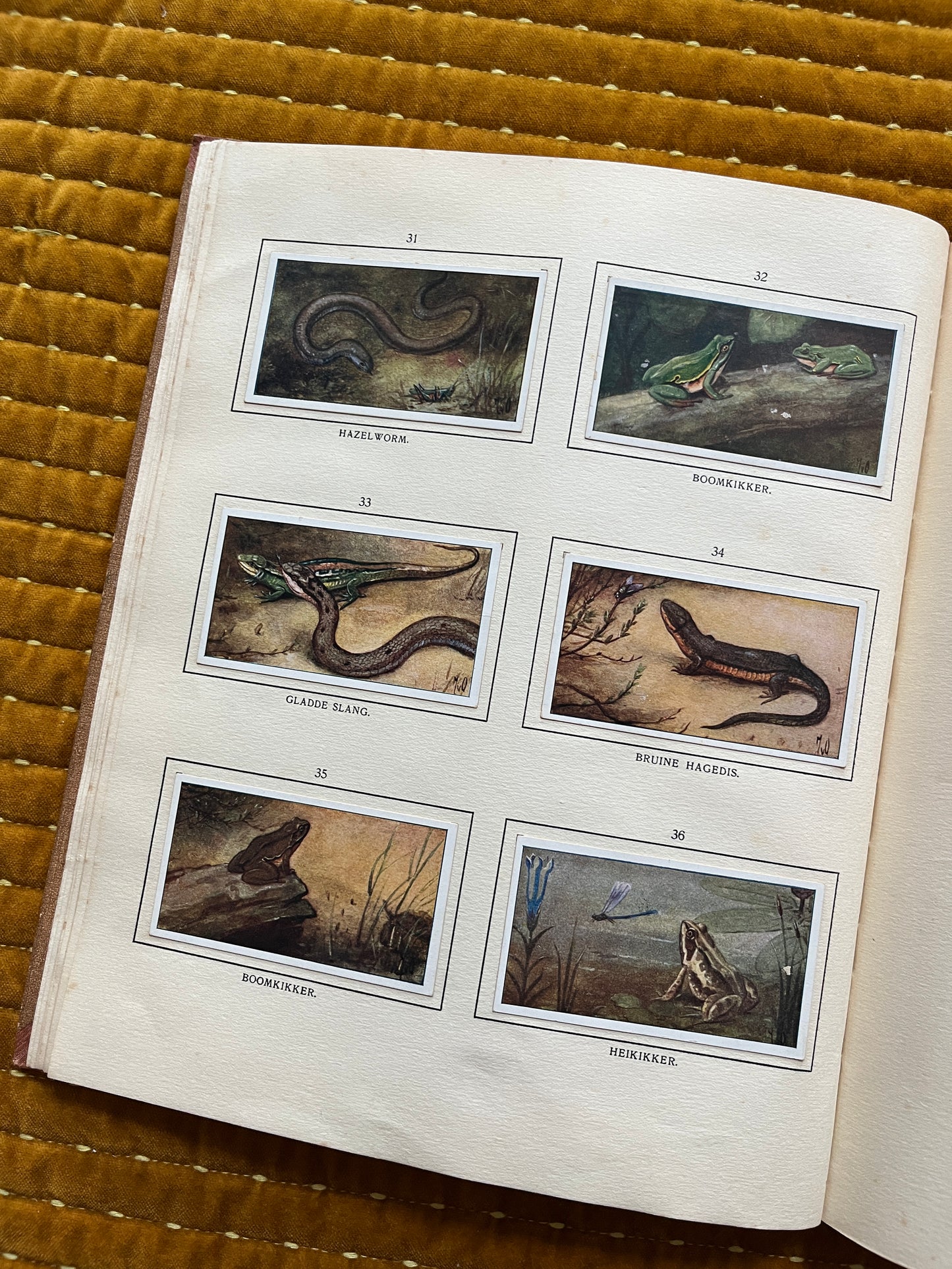 Bosch en Heide Verkade Plaatjesalbum 1913