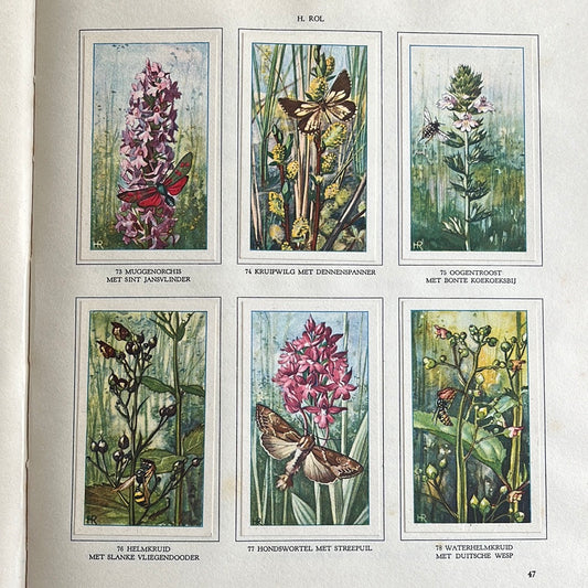 6 Verkade plaatjes De bloemen en haar vrienden 1934 (73-78)