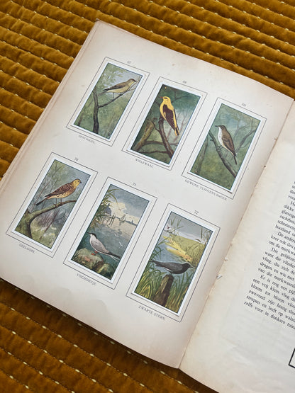 Zomer Verkade Plaatjesalbum 1907 (derde druk)