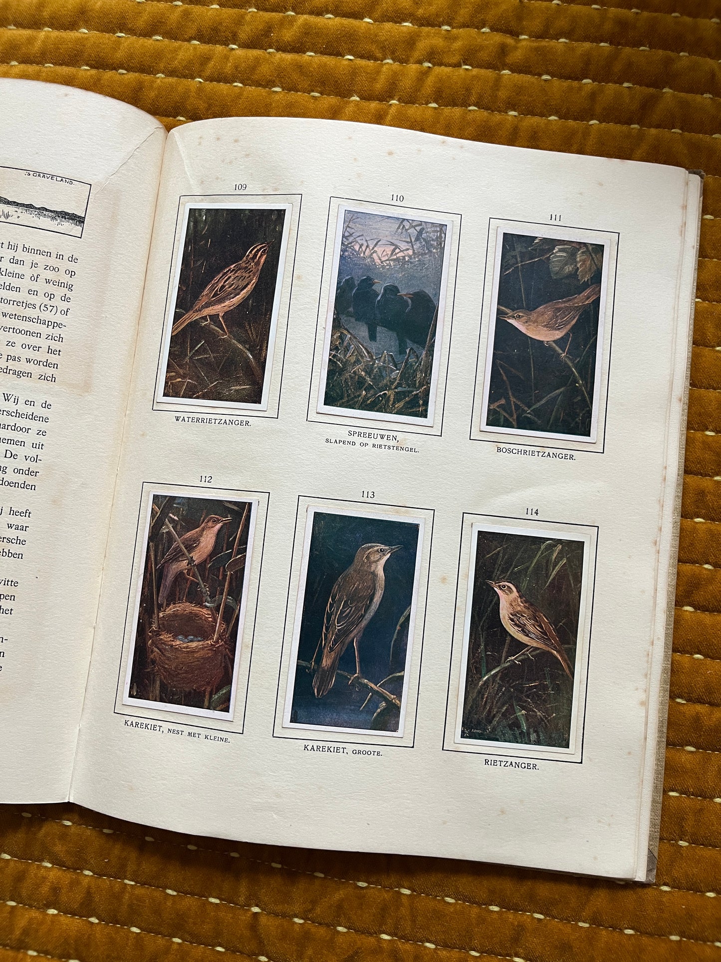 Das Naardermeer Verkade-Bilderalbum 1912