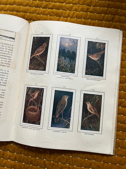 Das Naardermeer Verkade-Bilderalbum 1912