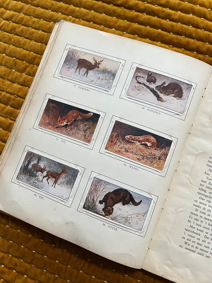 Winter Verkade Plaatjesalbum 1909