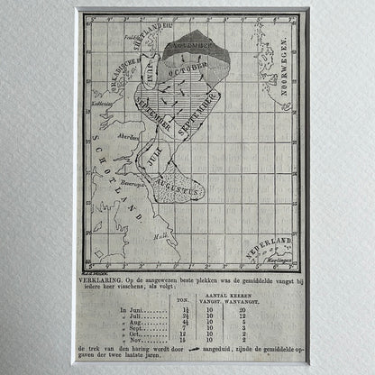 Karte des Heringsfangs 1875
