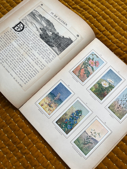 Zomer Verkade Plaatjesalbum 1908 (tweede druk)