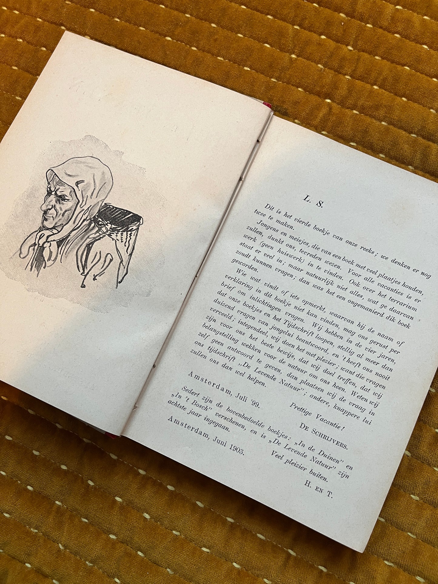 Hei en Dennen (1903)